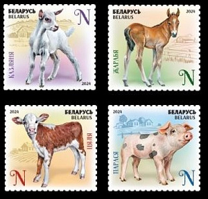 Беларусь, 2024, Детёныши Домашних Животных, 4 марки